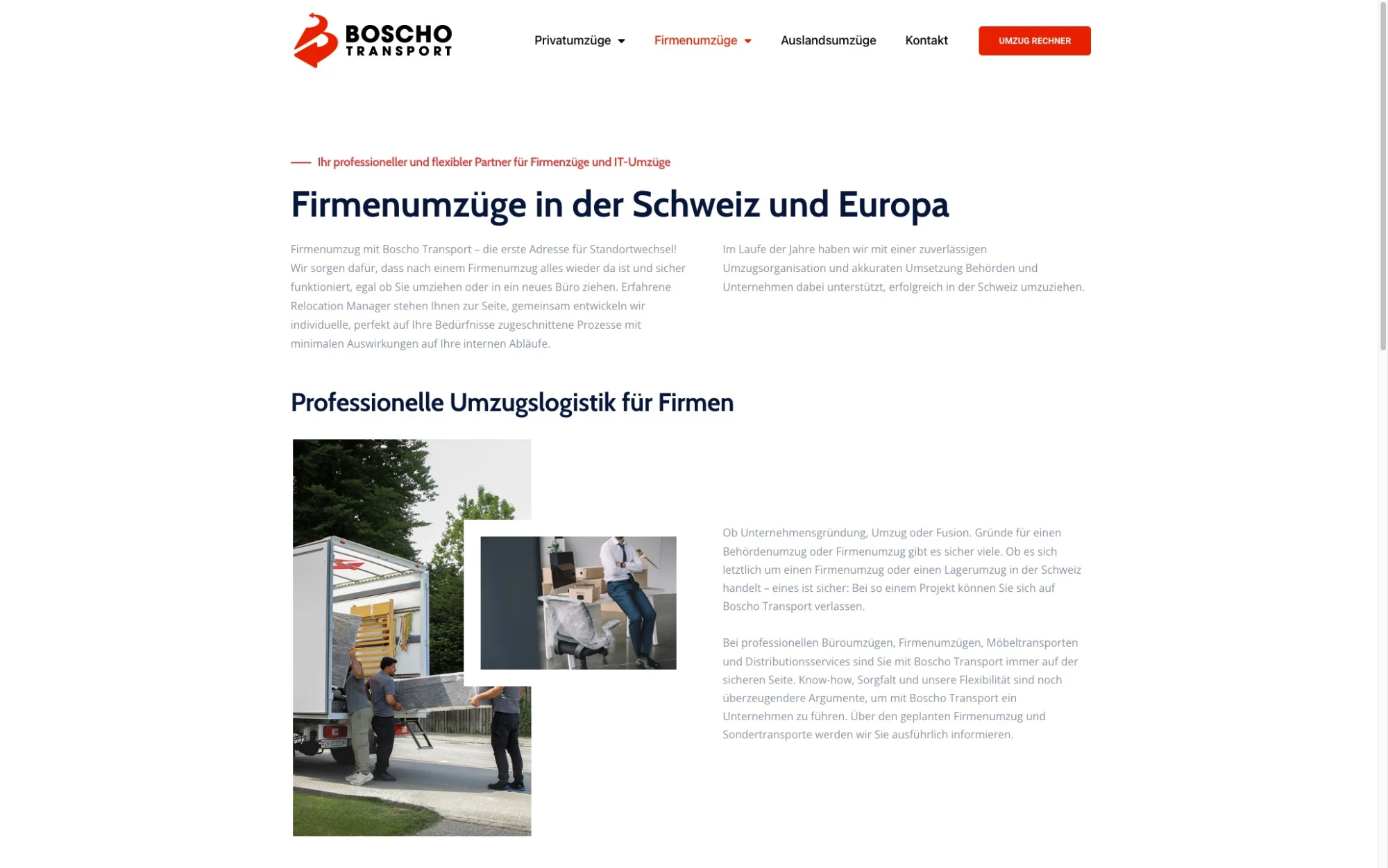 boscho-shot-3.jpg