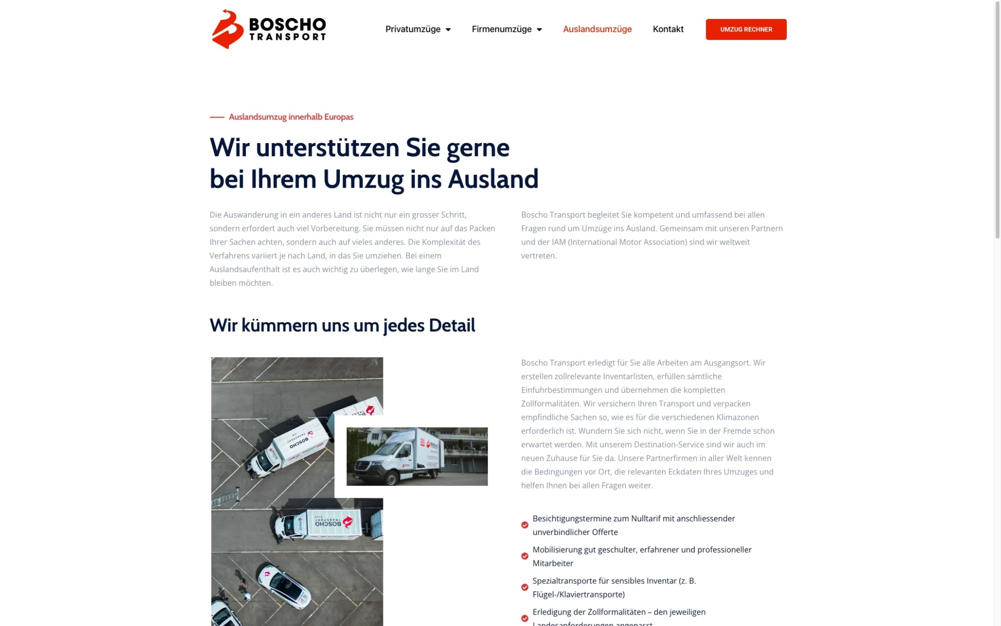 boscho-shot-5.jpg